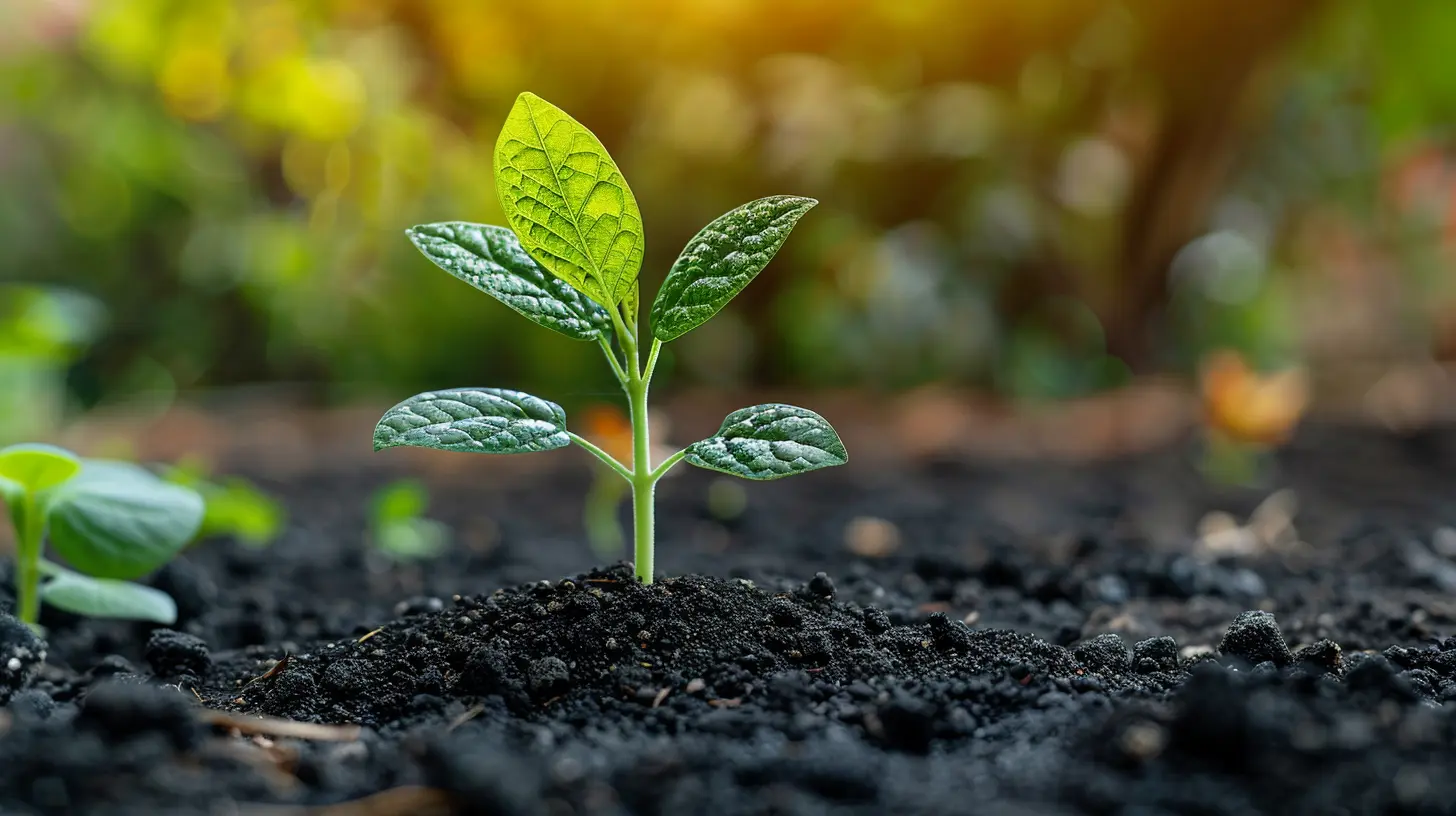 The Growing Importance of Sustainability in Sports Marketing