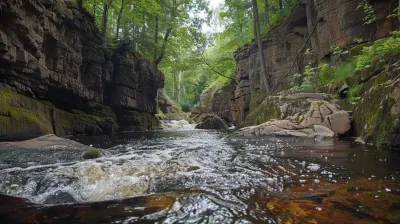 Adrenaline Junkies Unite The Best Spots For White Water Rafting