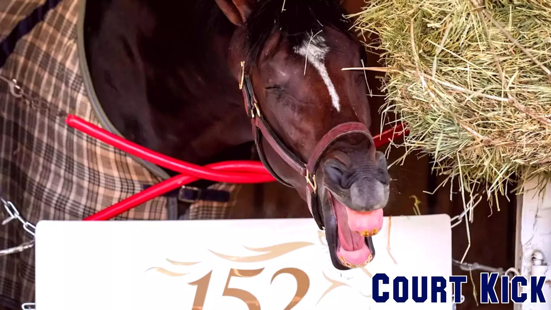 Belmont Stakes 2026 list of horses, odds and post positions