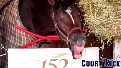Belmont Stakes 2026 list of horses, odds and post positions